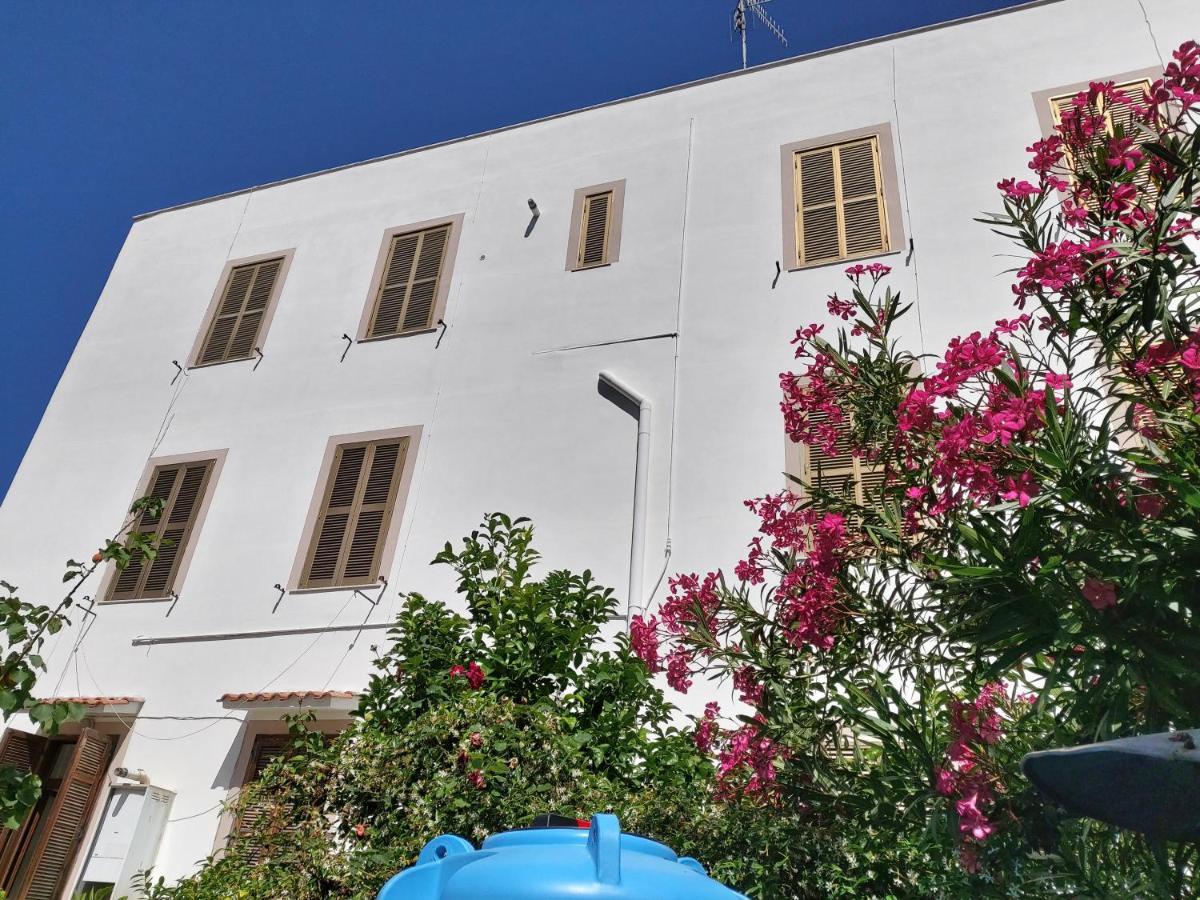 Whole Holiday Home Apartment Splendid Civitavecchia Da Pamino & Priscilla Eksteriør bilde