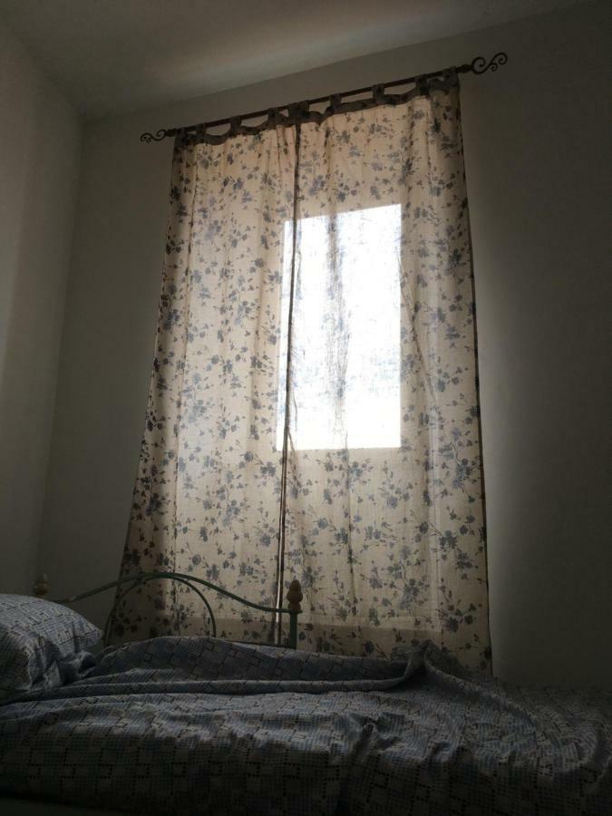 Whole Holiday Home Apartment Splendid Civitavecchia Da Pamino & Priscilla Eksteriør bilde